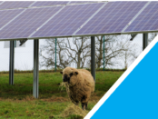 Agro-PV Fachdialog Energieregion