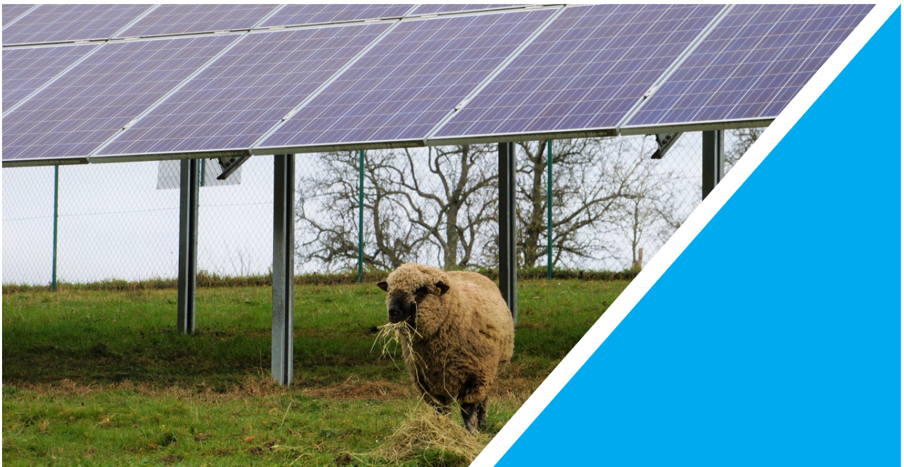 Agro-PV Fachdialog Energieregion