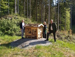 bei der Sturmsiedlung in Naas