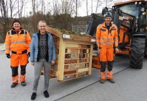 im Zufahrtsbereich des Bauhofs von Puch bei Weiz