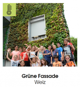 Grüne Fassade