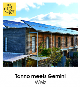 Tanno meets Gemini